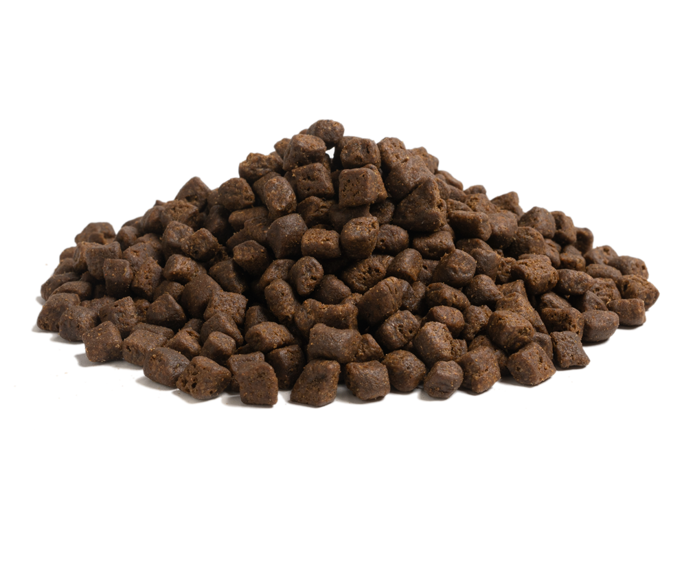 ESSENTIAL THE BEGINNING SMALL BREED 2,5 kg viljaton penturuoka