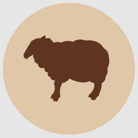 Fanimal Karitsan luut 2 kg
