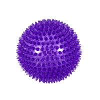 Freedog Noody pallo, violetti