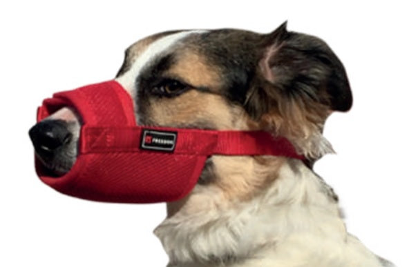 Freedog Soft koiran hoitokoppa, musta