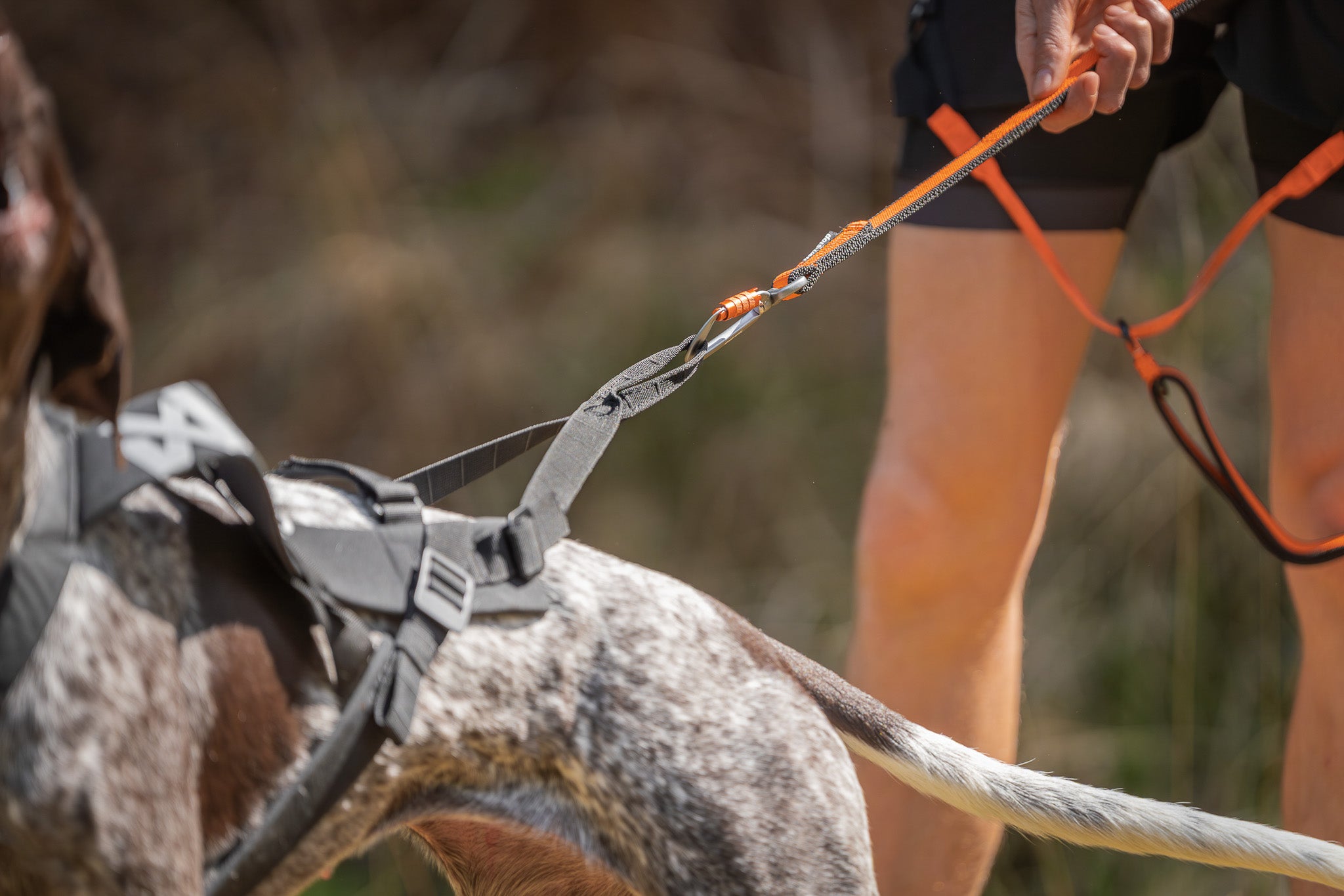 Non-Stop Dogwear Freemotion Pro vetovaljas lähikuva