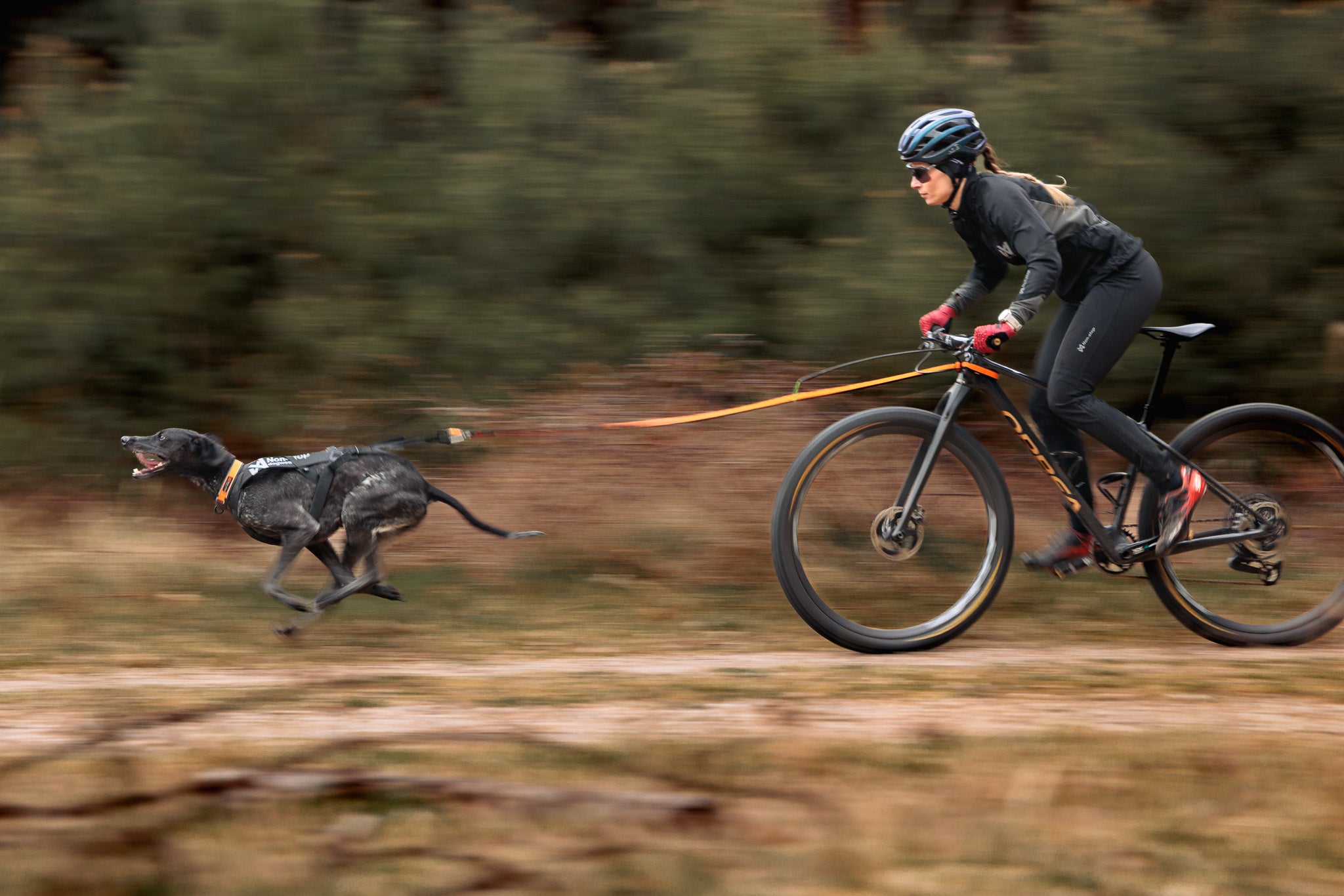 Non-Stop Dogwear Freemotion Pro vetovaljas pyöräily