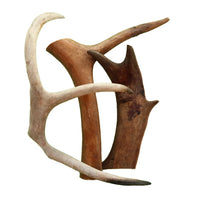 Kaikenkarvaiset Poron sarviluut 500 g