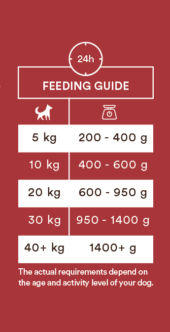 Monster Dog nauta 400 g