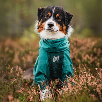 Non-stop dogwear Fjord overall koiran sadehaalari petrooli