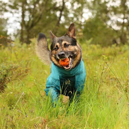 Non-stop dogwear Fjord overall koiran sadehaalari petrooli