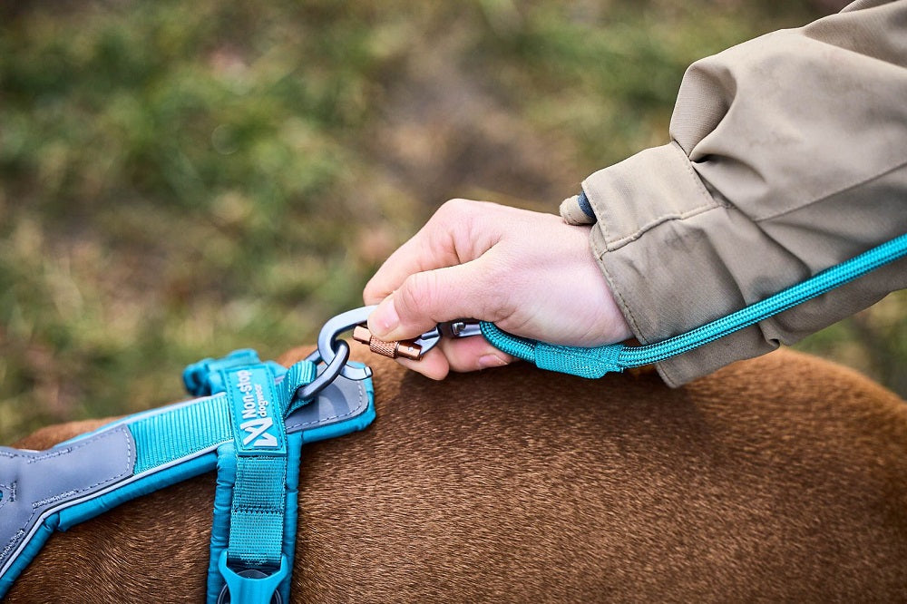 Non-stop dogwear Trekking rope leash köysitalutin, teal