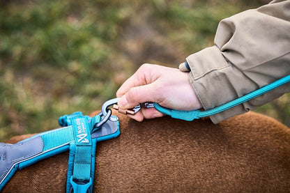 Non-stop dogwear Trekking rope leash köysitalutin, teal