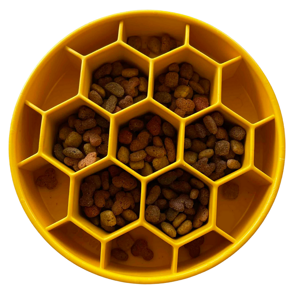 SodaPup Honeycomb koiran ahmimisenestokuppi, keltainen