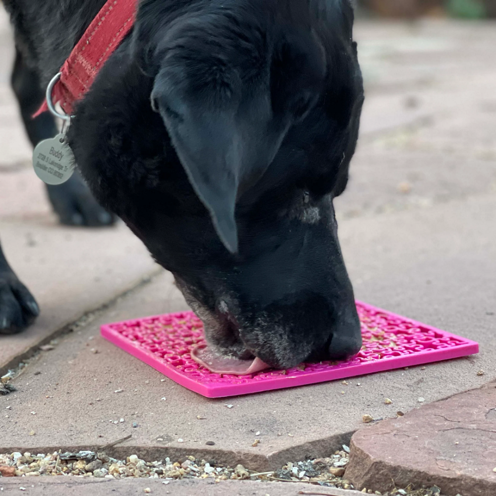SodaPup Jigsaw nuolumatto lemmikille, pinkki