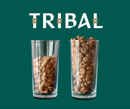 TRIBAL FRESH PRESSED - Adult Small Breed Salmon