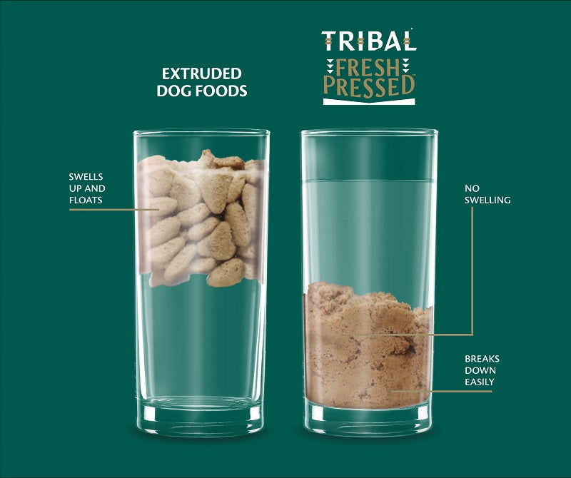 Tribal Fresh Pressed Adult Turkey kylmäpuristettu kuivaruoka