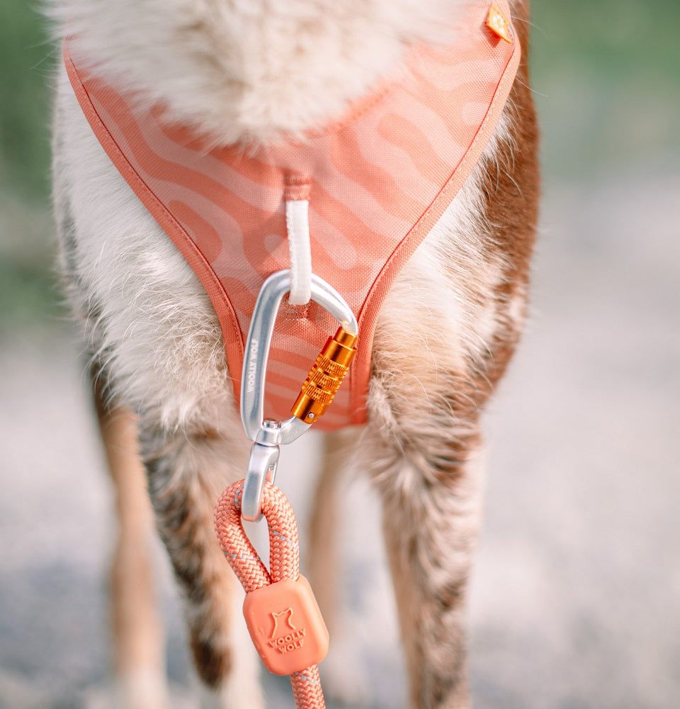 Woolly Wolf Roam Salmon Pink Ripple koiran valjaat