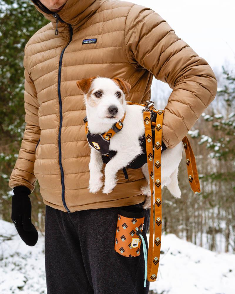 Woolly Wolf Sea to Summit koiran talutin