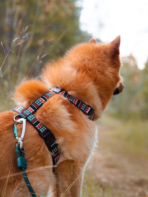 Woolly Wolf Woodland koiran valjaat
